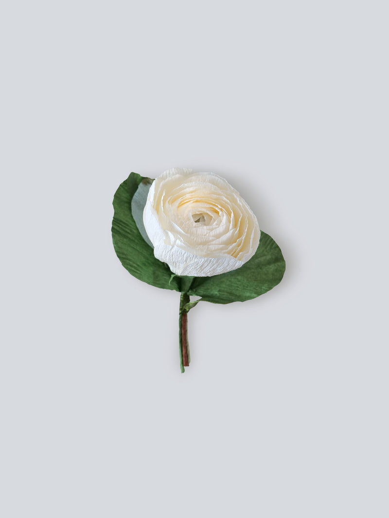 Single White Ranunculus Single White Ranunculus Boutonniere